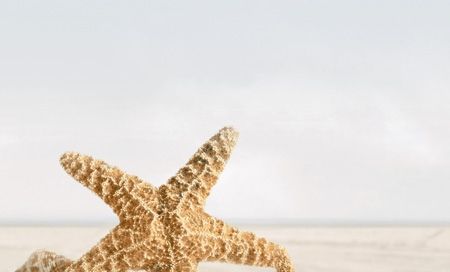 картинка САММЕР СТОУН декор 3 бежевый 25х40см В41331 Golden Tile